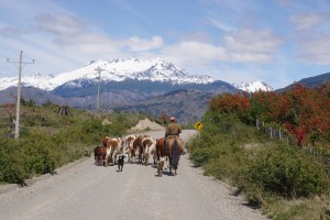 Seb et le Huaso (Gaucho Chilien)