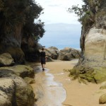 Abel Tasman Observation Beach