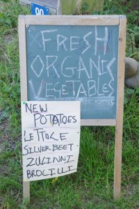Légumes en bord de route