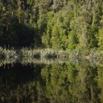 Reflexions sur le lac Matheson