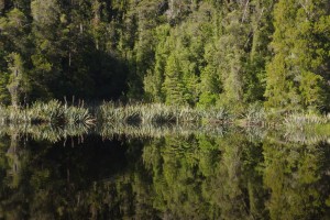 Reflexions sur le lac Matheson