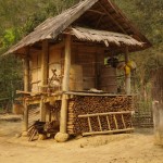 Cabane de bambou