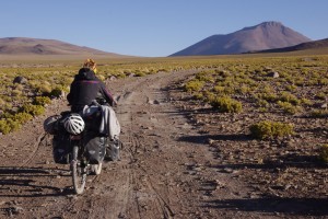 Retour de la verdure