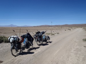 Au milieu des champs de quinoa